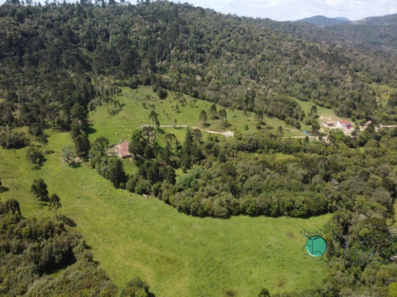 Imagem Imóvel com 2 Quartos à Venda, 500.000 m² em Interior - Otacílio Costa