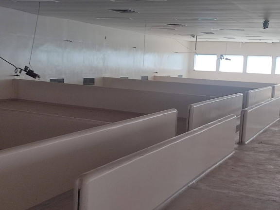 Imagem Chácara com 4 Quartos à Venda, 850 m² em Itarassú - Capela Do Alto