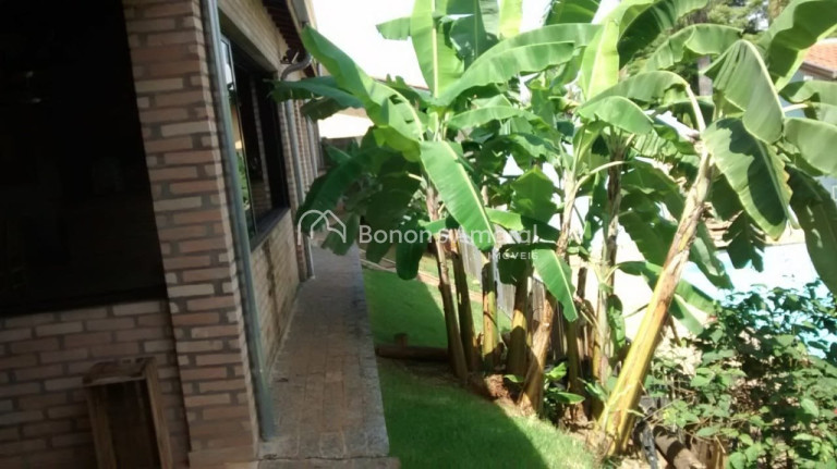 Imagem Chácara com 3 Quartos à Venda, 1.000 m² em Recanto Dos Dourados - Campinas Imagem Chácara com 3 Quartos à Venda, 1.000 m² em Recanto Dos Dourados - Campinas