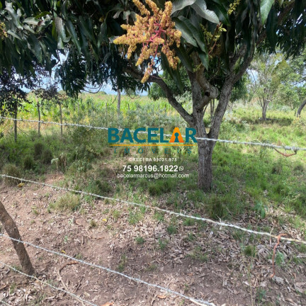 Imagem Imóvel com 4 Quartos à Venda, 100 m² em São Jose Ba - Feira De Santana Ba Imagem Imóvel com 4 Quartos à Venda, 100 m² em São Jose Ba - Feira De Santana Ba