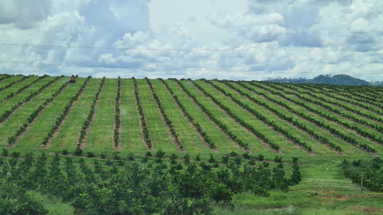 Imagem Fazenda à Venda, 181 m² em Rural - Araraquara Imagem Fazenda à Venda, 181 m² em Rural - Araraquara
