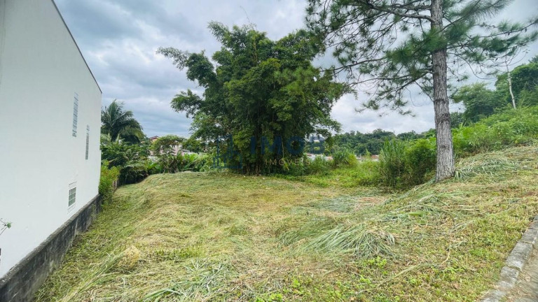 Imagem Terreno à Venda, 600 m² em Tifa Martins - Jaraguá Do Sul Imagem Terreno à Venda, 600 m² em Tifa Martins - Jaraguá Do Sul