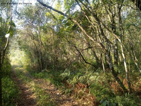 Terreno à Venda, 20 m² em Linha Temerária - Nova Petrópolis