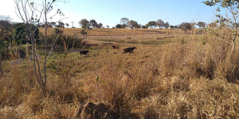 Imagem Fazenda à Venda, 121 m² em Zona Rural - Montes Claros De Goiás