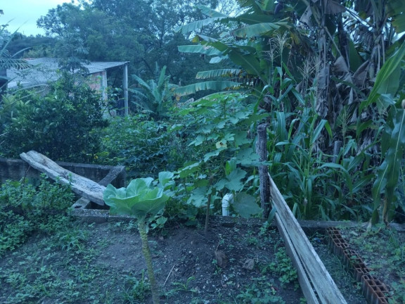 Imagem Chácara com 2 Quartos à Venda, 58 m² em Chácaras Reunidas Igarapés - Jacareí Imagem Chácara com 2 Quartos à Venda, 58 m² em Chácaras Reunidas Igarapés - Jacareí