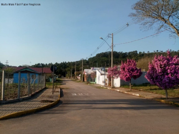 Imagem Terreno à Venda, 508 m² em Vale Verde - Nova Petrópolis Imagem Terreno à Venda, 508 m² em Vale Verde - Nova Petrópolis