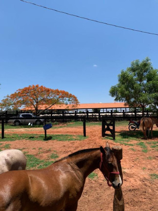Imagem Fazenda à Venda, 4.530 m² em Rural - Camapuã Imagem Fazenda à Venda, 4.530 m² em Rural - Camapuã