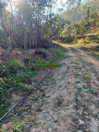 Imagem Chácara à Venda, 20.000 m² em Centro - Monteiro Lobato Imagem Chácara à Venda, 20.000 m² em Centro - Monteiro Lobato
