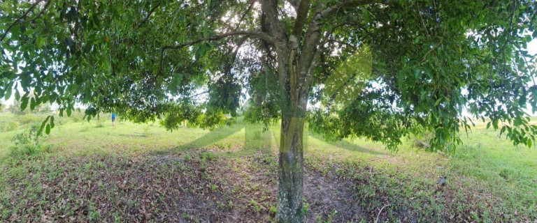Imagem Fazenda à Venda, 1.258.400 m² em Centro - Araruama Imagem Fazenda à Venda, 1.258.400 m² em Centro - Araruama