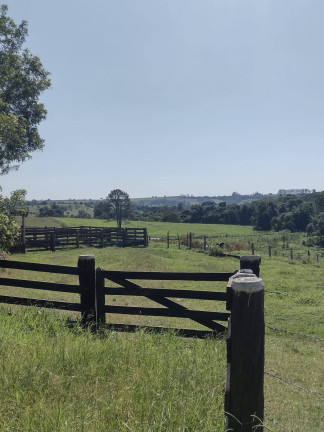 Imagem Chácara com 2 Quartos à Venda, 95.000 m² em Cercadinho - Alambari Imagem Chácara com 2 Quartos à Venda, 95.000 m² em Cercadinho - Alambari