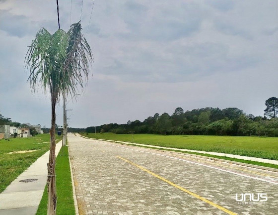 Imagem Terreno à Venda, 398 m² em Ingleses Do Rio Vermelho - Florianópolis Imagem Terreno à Venda, 398 m² em Ingleses Do Rio Vermelho - Florianópolis