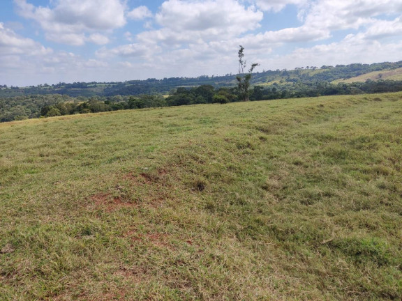 Imagem Fazenda à Venda, 42 m² em Rural - Angatuba Imagem Fazenda à Venda, 42 m² em Rural - Angatuba