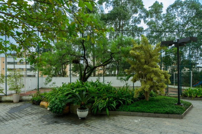 Imagem Imóvel com 3 Quartos à Venda, 185 m² em Vila Suzana - São Paulo Imagem Imóvel com 3 Quartos à Venda, 185 m² em Vila Suzana - São Paulo