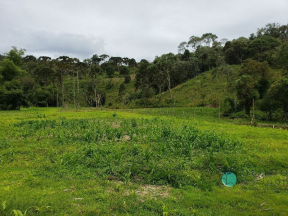 Imagem Imóvel com 3 Quartos à Venda, 350.000 m² em Zona Rural - Bom Retiro