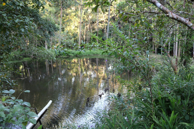 Imagem Fazenda à Venda, 72.924 m² em Sul Do Rio - Santo Amaro Da Imperatriz Imagem Fazenda à Venda, 72.924 m² em Sul Do Rio - Santo Amaro Da Imperatriz