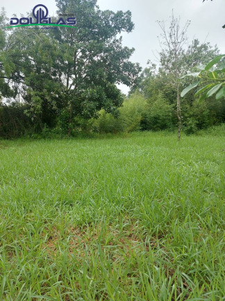 Imagem Terreno à Venda, 600 m² em águas Claras - Viamão Imagem Terreno à Venda, 600 m² em águas Claras - Viamão