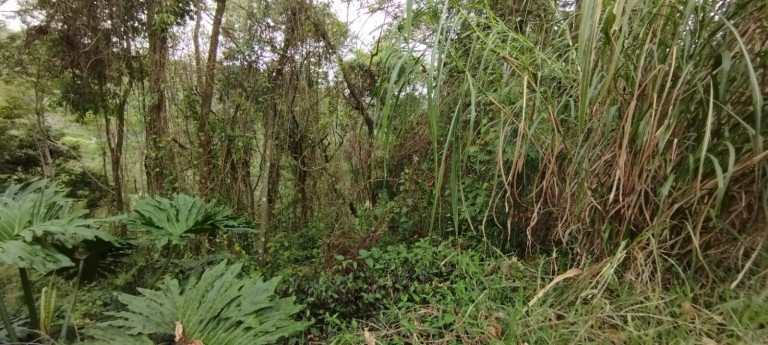 Imagem Terreno à Venda, 1 m² em Atibaia Imagem Terreno à Venda, 1 m² em Atibaia
