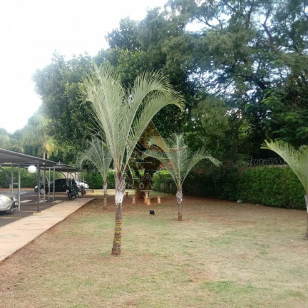 Imagem Apartamento com 2 Quartos à Venda, 41 m² em Parque Dos Lagos - Ribeirão Preto