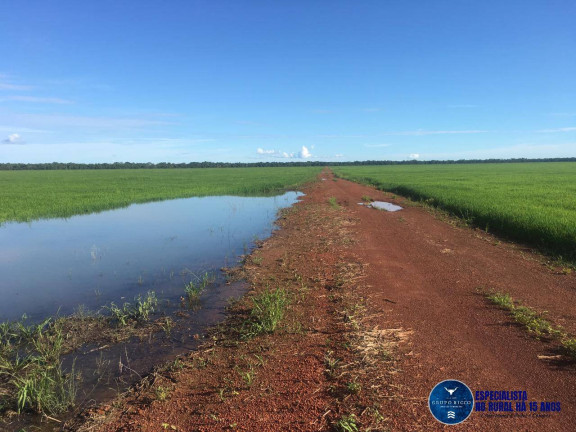 Fazenda à Venda, 1 m² em Zona Rural - Lagoa Da Confusão