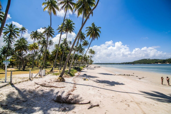 Imagem Apartamento com 3 Quartos à Venda, 105 m² em Praia Dos Carneiros - Tamandaré