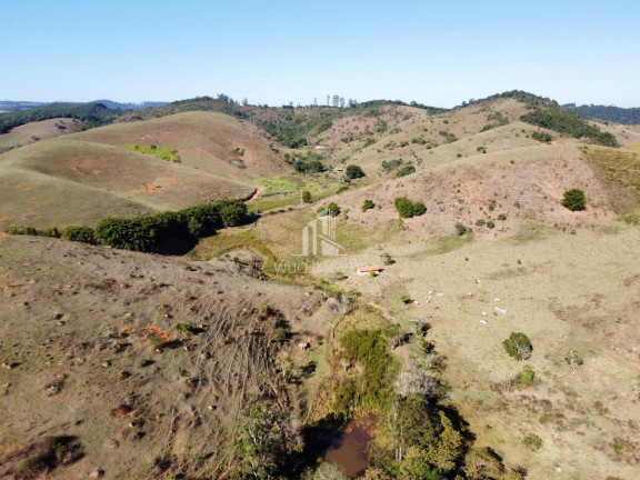 Chácara com 1 Quarto à Venda, 60.500 m² em Angola - Santa Branca