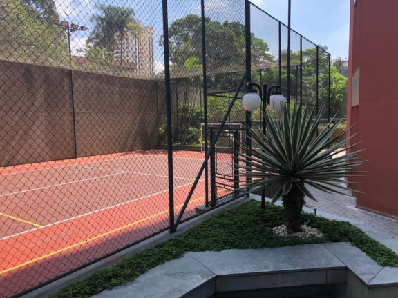 Imagem Imóvel com 3 Quartos à Venda, 242 m² em Vila Suzana - São Paulo