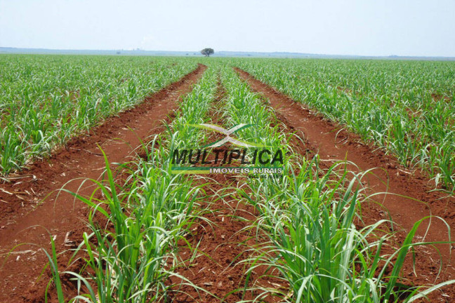 Fazenda à Venda, 435 m² em Centro - Uberlândia