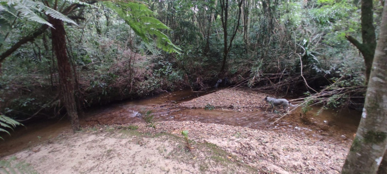 Imagem Chácara com 3 Quartos à Venda, 3.000 m² em Bugre - Balsa Nova