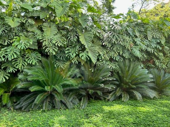 Imagem Imóvel com 3 Quartos à Venda, 300 m² em Jardim América - São Paulo Imagem Imóvel com 3 Quartos à Venda, 300 m² em Jardim América - São Paulo