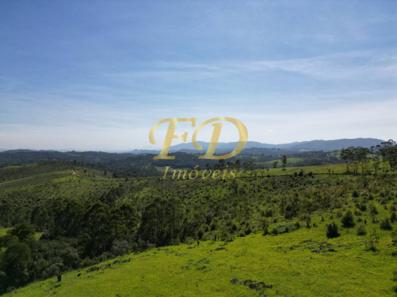 Imagem Imóvel Comercial à Venda, 380.000 m² em Terra Preta - Mairiporã
