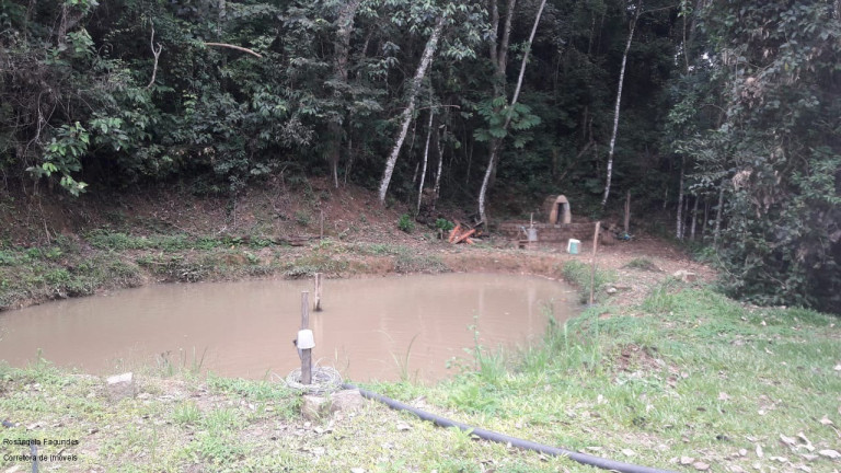Imagem Imóvel com 3 Quartos à Venda, 140 m² em Laranjeiras De Caldas - Caldas