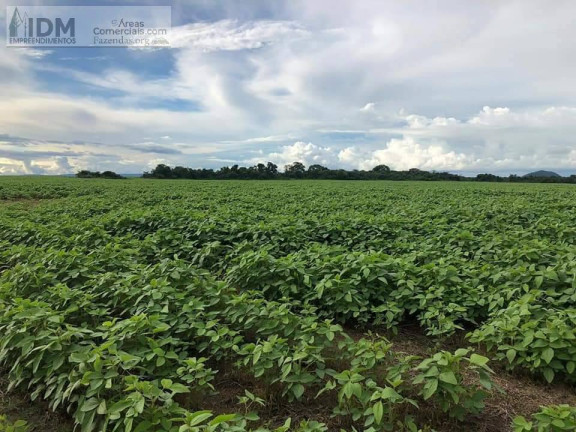 Chácara à Venda, 390.000.000 m² em Rural - Santa Terezinha