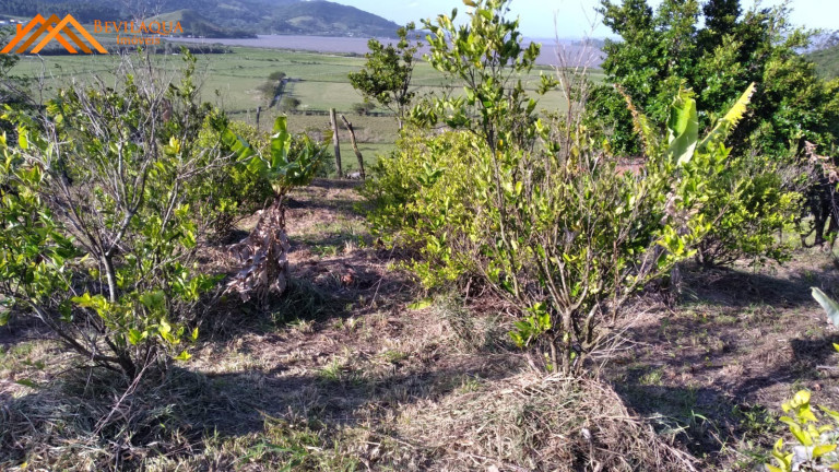 Imagem Terreno à Venda, 1.460 m² em Cangueri De Fora - Imaruí Imagem Terreno à Venda, 1.460 m² em Cangueri De Fora - Imaruí