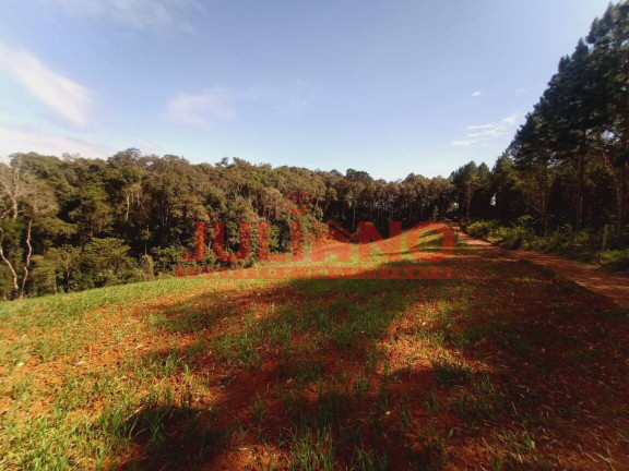 Imagem Terreno à Venda, 32.032 m² em Mato Preto - São Bento Do Sul Imagem Terreno à Venda, 32.032 m² em Mato Preto - São Bento Do Sul