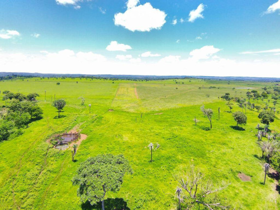 Imagem Fazenda à Venda, em Campinápolis Imagem Fazenda à Venda, em Campinápolis