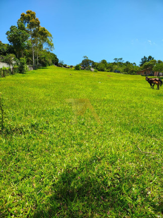 Imagem Fazenda à Venda, em Cangueri De Fora - Imaruí Imagem Fazenda à Venda, em Cangueri De Fora - Imaruí