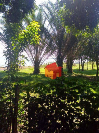 Imagem Terreno à Venda, 3.000 m² em Rubineia - Rubinéia Imagem Terreno à Venda, 3.000 m² em Rubineia - Rubinéia