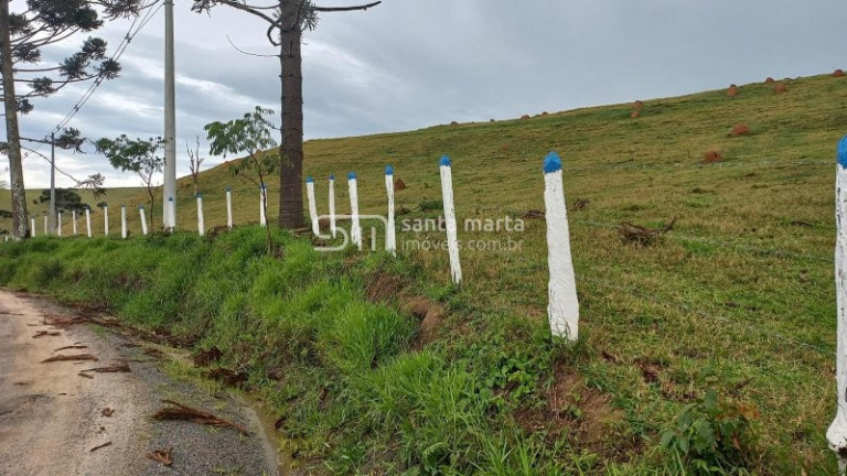 Imagem Imóvel com 5 Quartos à Venda, 375 m² em Pinhal Novo - Lorena