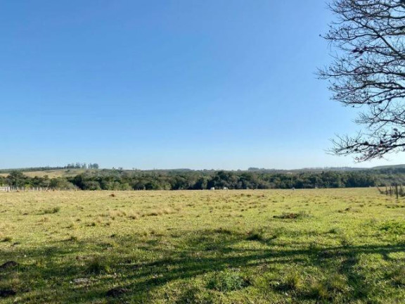 Terreno à Venda, 13 m² em Cercado - Araçoiaba Da Serra