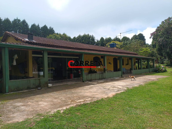 Chácara com 3 Quartos à Venda, 8 m² em Vargem Do Salto - Ibiúna