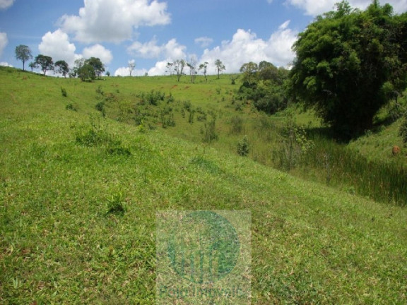 Imagem Imóvel com 4 Quartos à Venda, 1.694.000 m² em Zona Rural - Jacui
