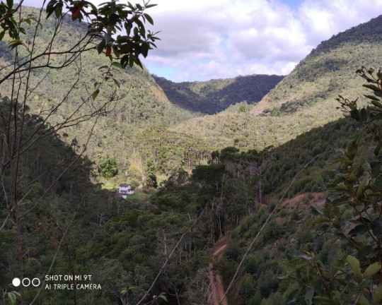 Imagem Imóvel à Venda, 2.500.000 m² em Fazenda Bela Vista - Nova Friburgo Imagem Imóvel à Venda, 2.500.000 m² em Fazenda Bela Vista - Nova Friburgo