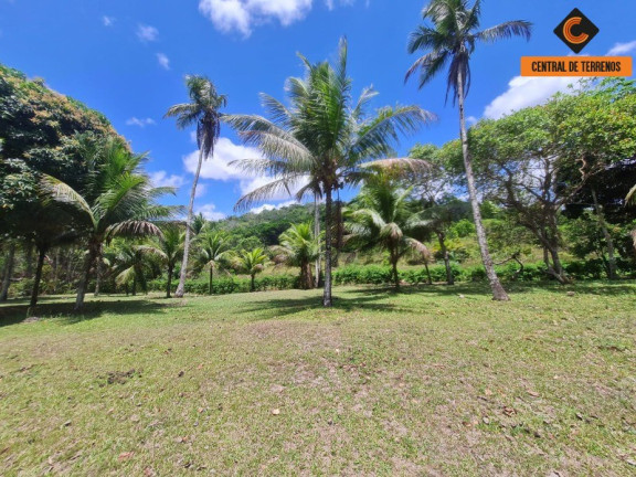 Imagem Imóvel com 2 Quartos à Venda, 466 m² em Jorrinho - Camaçari Imagem Imóvel com 2 Quartos à Venda, 466 m² em Jorrinho - Camaçari