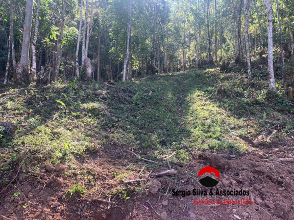 Imagem Terreno à Venda, 8 m² em Bairro Do Centro - Piranguçu Imagem Terreno à Venda, 8 m² em Bairro Do Centro - Piranguçu