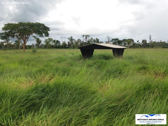 Imagem Fazenda à Venda, 1.050 m² em Rural - Juína Imagem Fazenda à Venda, 1.050 m² em Rural - Juína