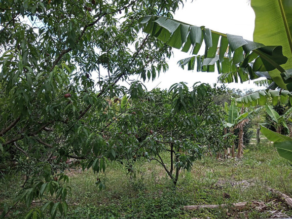Imagem Casa à Venda, 36 m² em águas Claras - Viamão