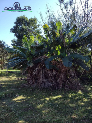 Imagem Terreno à Venda, 615 m² em águas Claras - Viamão Imagem Terreno à Venda, 615 m² em águas Claras - Viamão