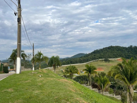 Imagem Casa com 3 Quartos à Venda, 402 m² em Centro - Camboriú