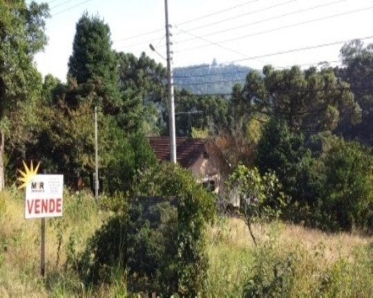 Imagem Terreno à Venda, 496 m² em Linha Brasil - Nova Petrópolis Imagem Terreno à Venda, 496 m² em Linha Brasil - Nova Petrópolis