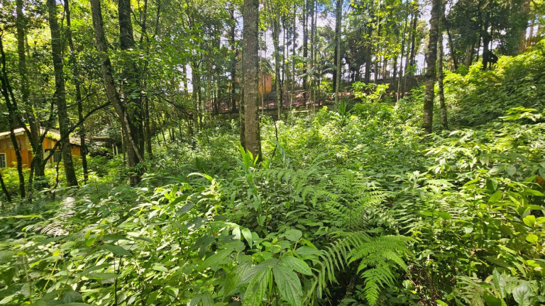 Imagem Terreno à Venda, em São Miguel - Almirante Tamandare Imagem Terreno à Venda, em São Miguel - Almirante Tamandare